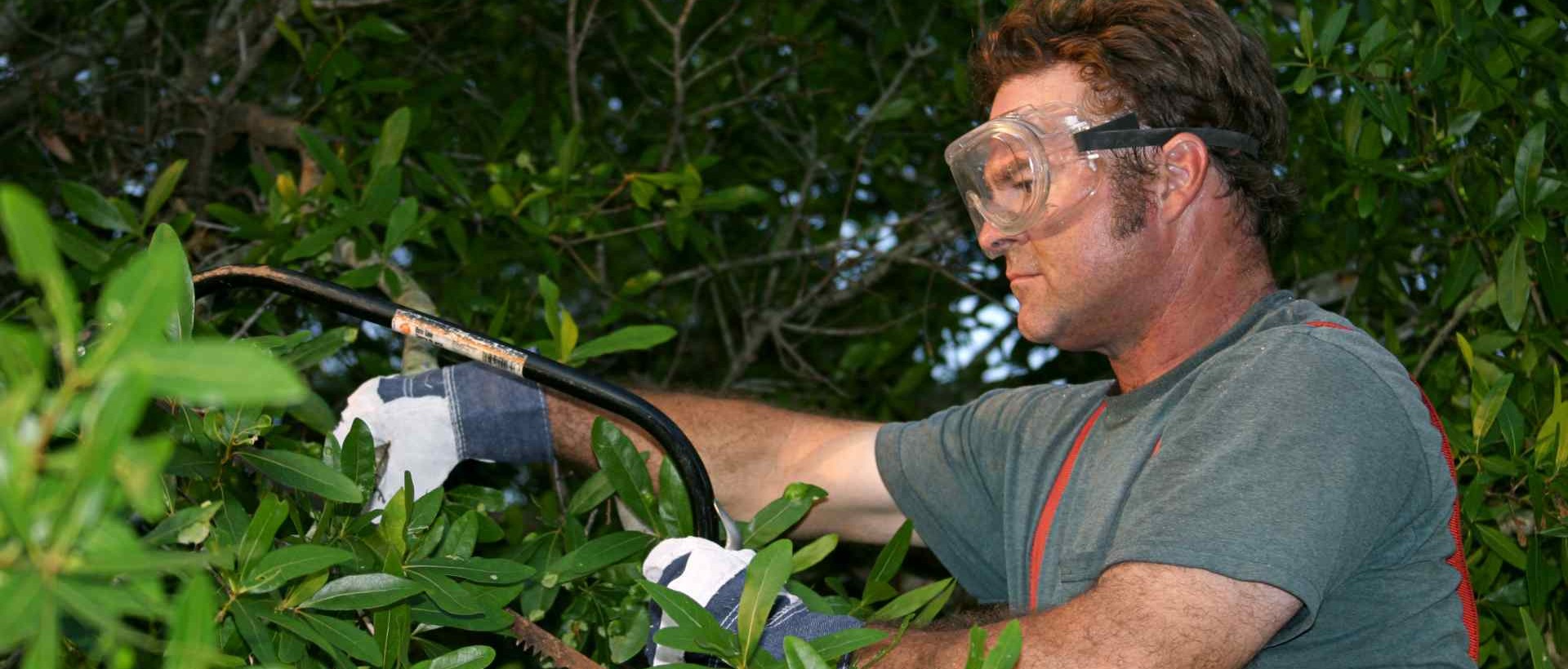 garden clearance SW15
